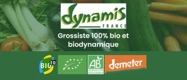 dynamis