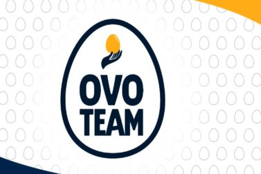 Ovoteam
