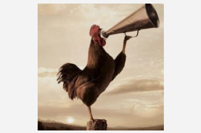 ELIMINACIÓN HUEVOS GALLINAS EN JAULA